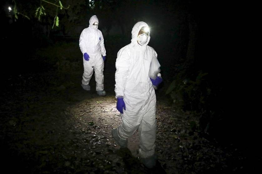 Tet Nguyen dan can ke, Trung Quoc lo ngai dich Nipah hinh anh