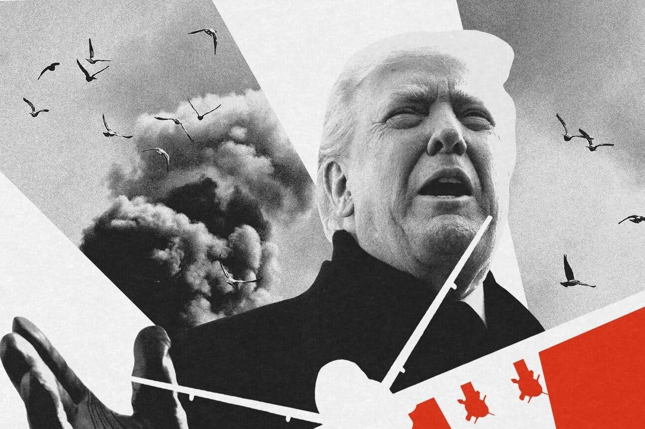 'Show dien quan su' cua Tong thong Trump hinh anh