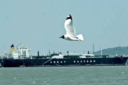 Tuong lai cua 'yet hau' Hormuz ra sao sau lenh ngung ban? hinh anh