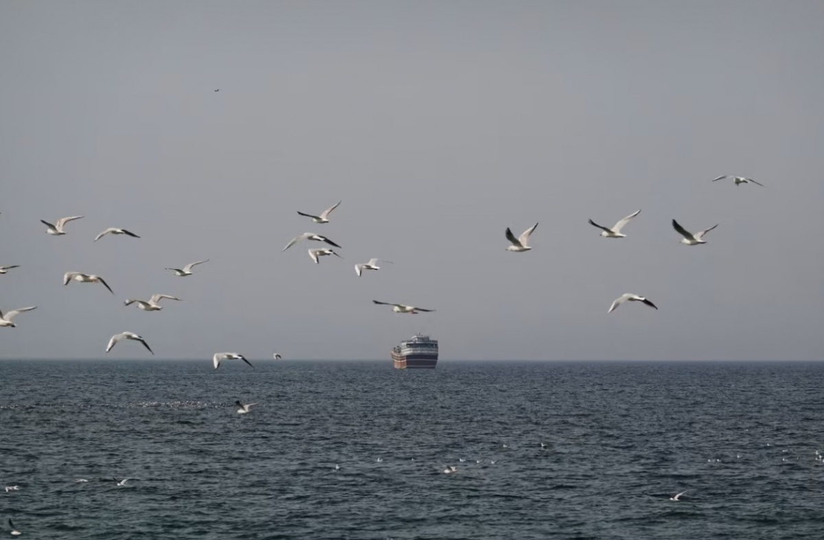 Bai hoc tu thap nien 1980 co giup My giai bay thuy loi Iran o Hormuz? hinh anh