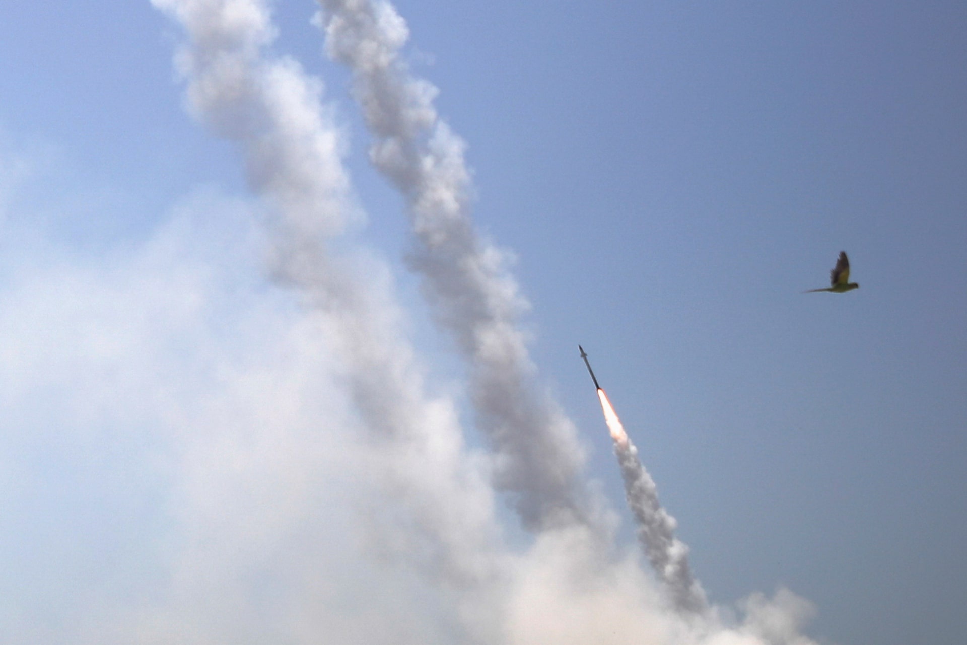 Iran ảnh 1 Iran anh 1