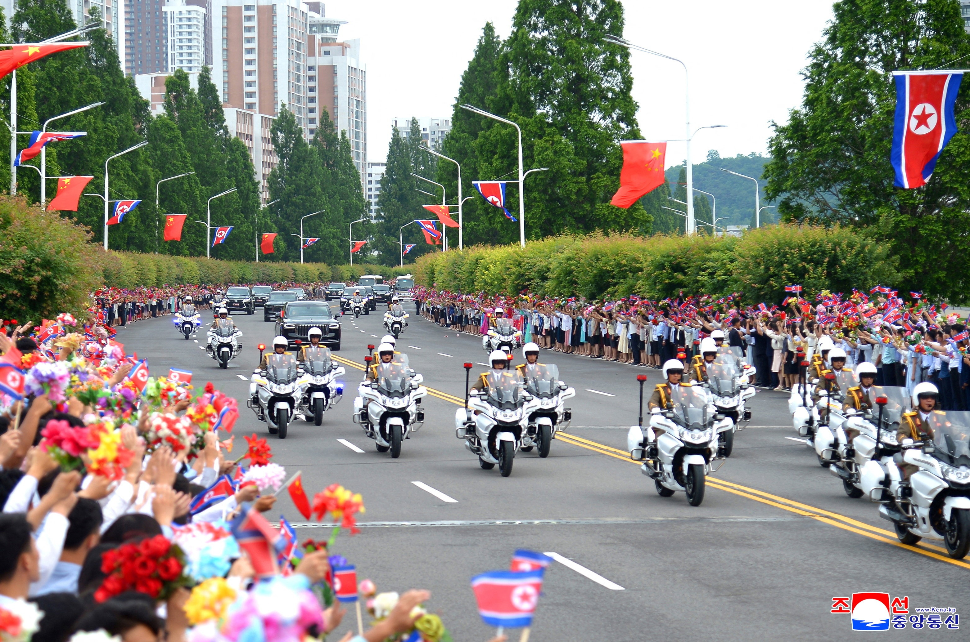 Trieu Tien anh 14