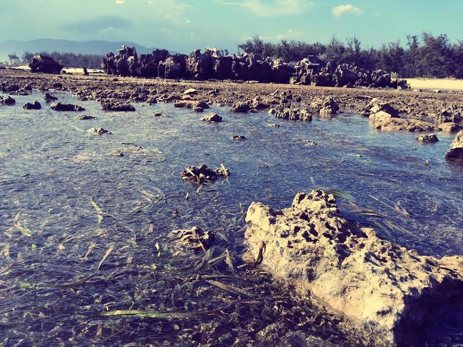 Phượt hòn đỏ Ninh Thuận ảnh 1 Phuot hon do Ninh Thuan anh 1