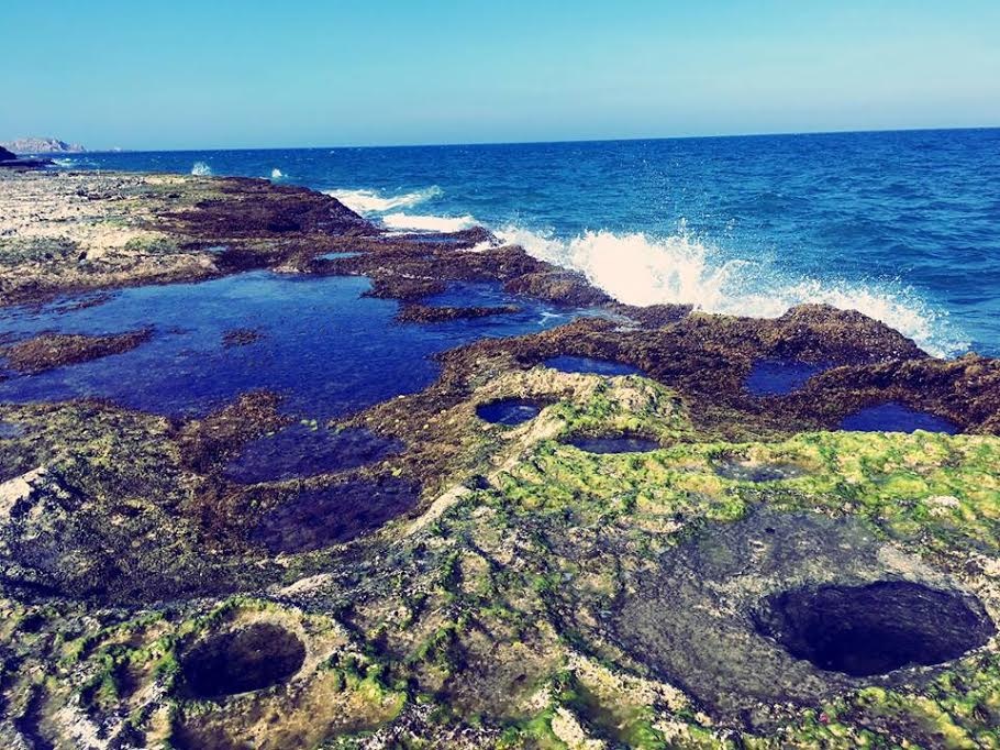 Phượt hòn đỏ Ninh Thuận ảnh 7 Phuot hon do Ninh Thuan anh 7