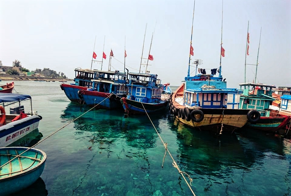 Du lịch Lý Sơn ảnh 1 Du lich Ly Son anh 1