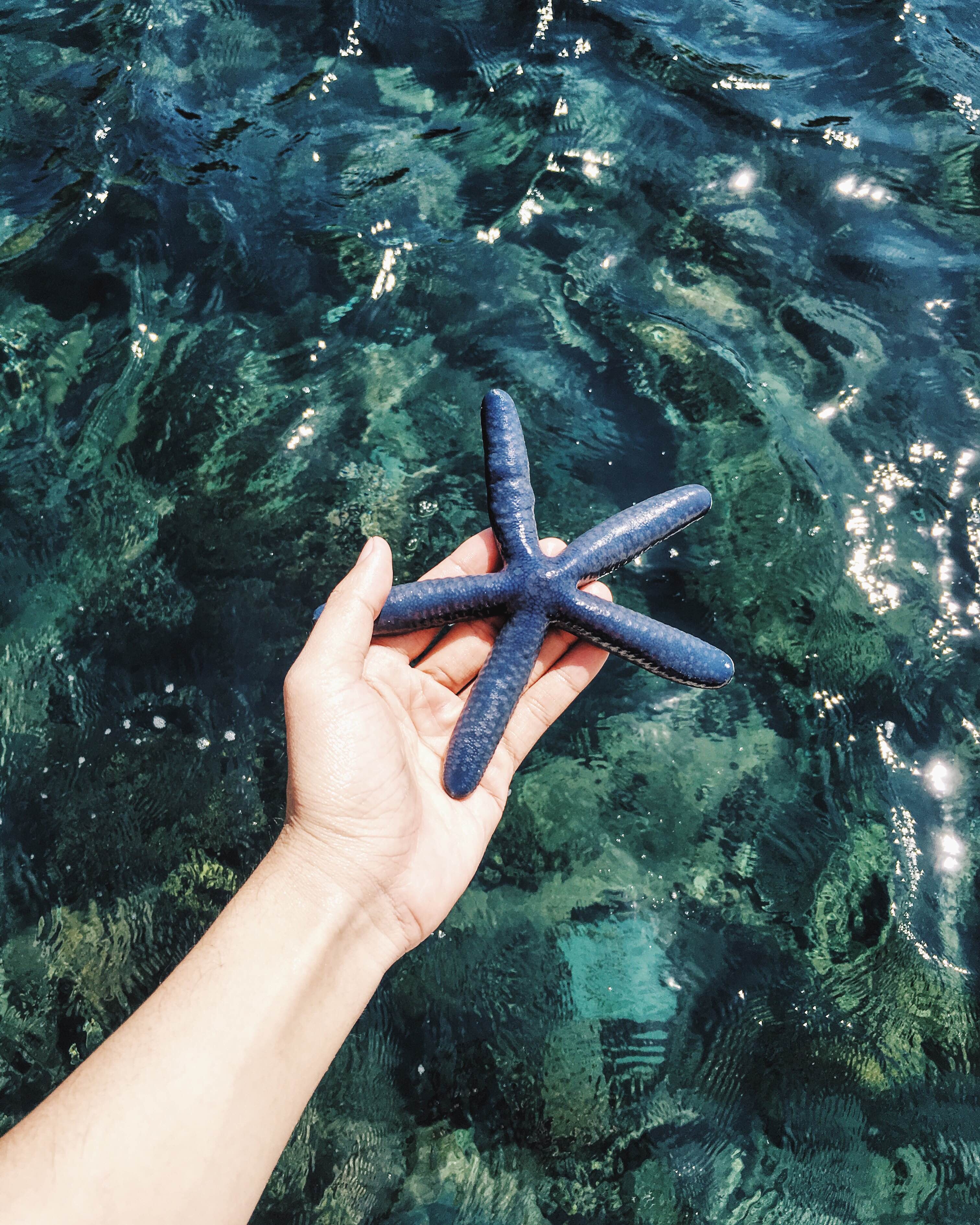 Ve dep cua vinh Vinh Hy anh 9