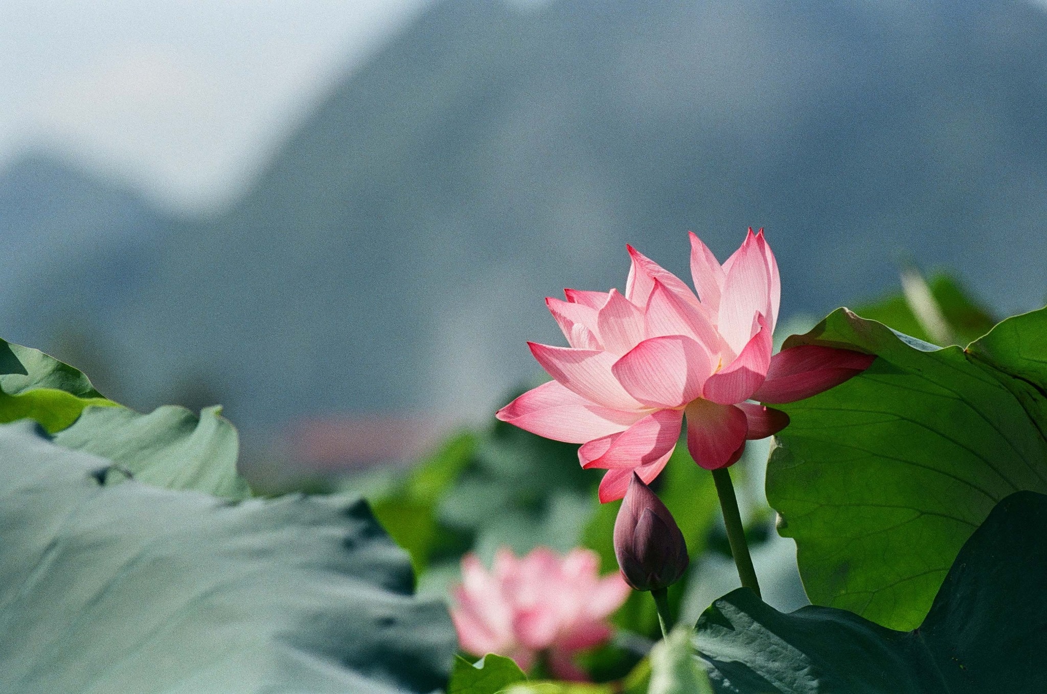 Kinh nghiệm du lịch Bắc Sơn ảnh 3 Kinh nghiem du lich Bac Son anh 3