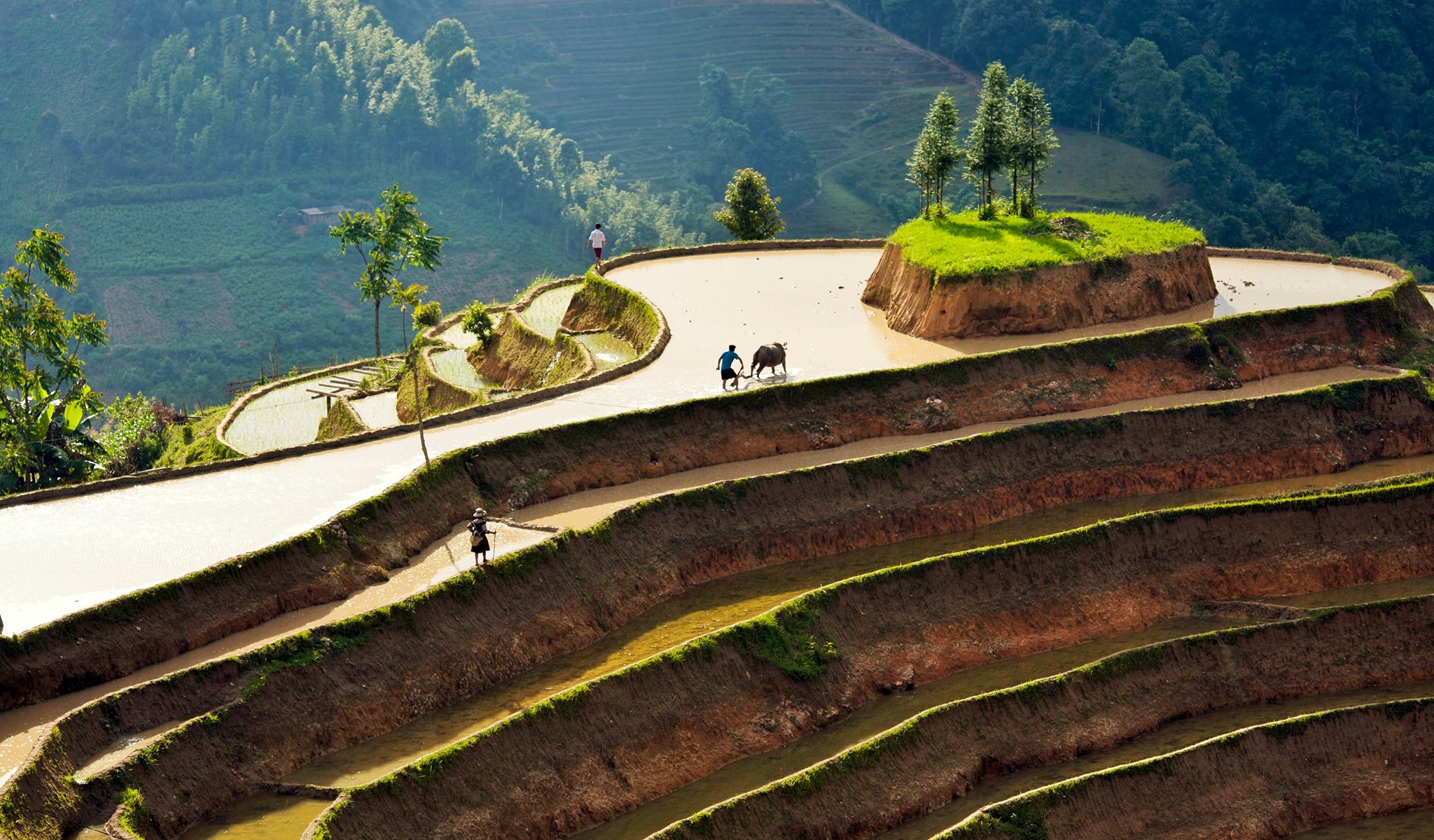 Tuyet tac ruong bac thang Hoang Su Phi mua nuoc do hinh anh