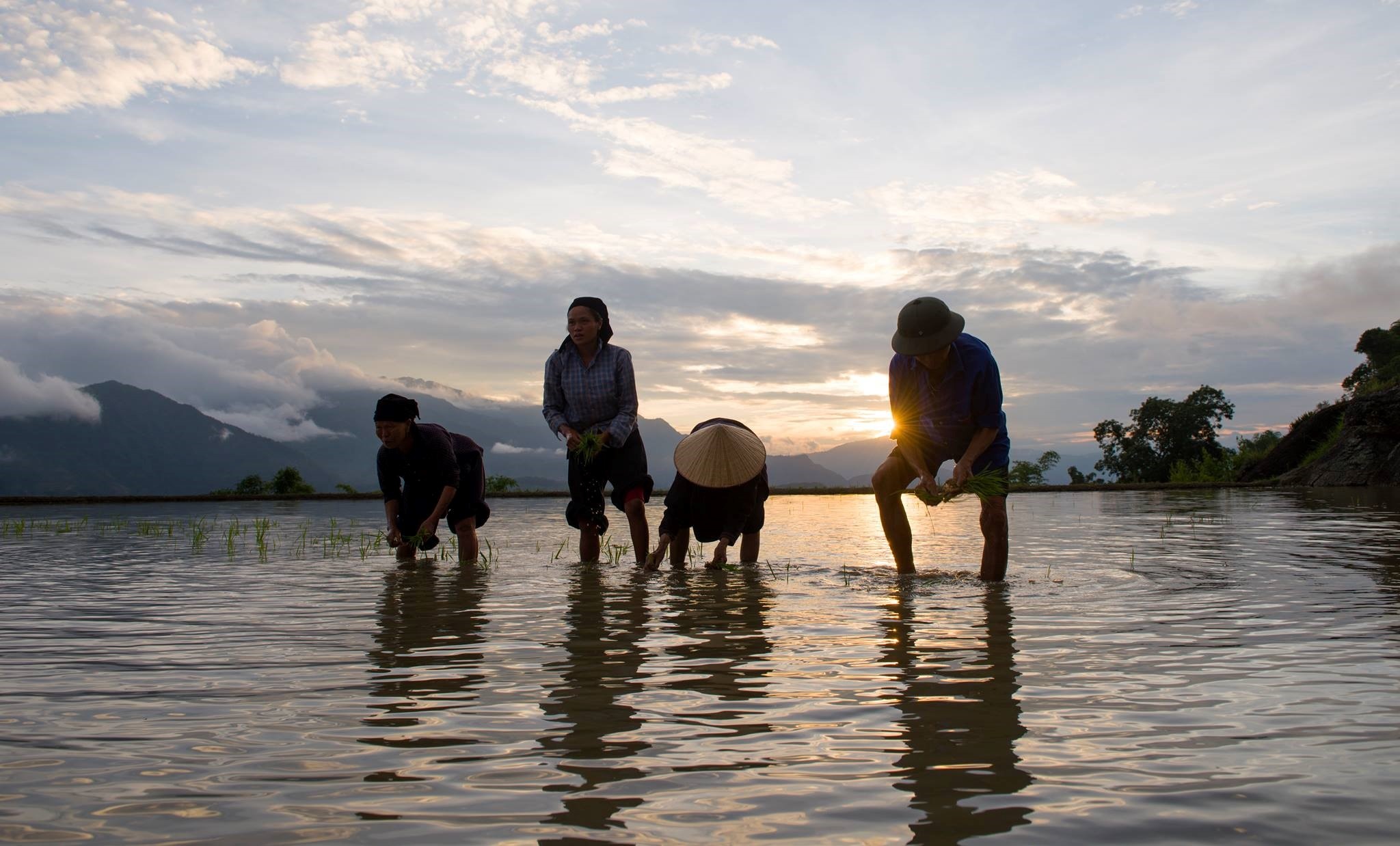 Ruộng bậc thang Hoàng Su Phì ảnh 8 Ruong bac thang Hoang Su Phi anh 8