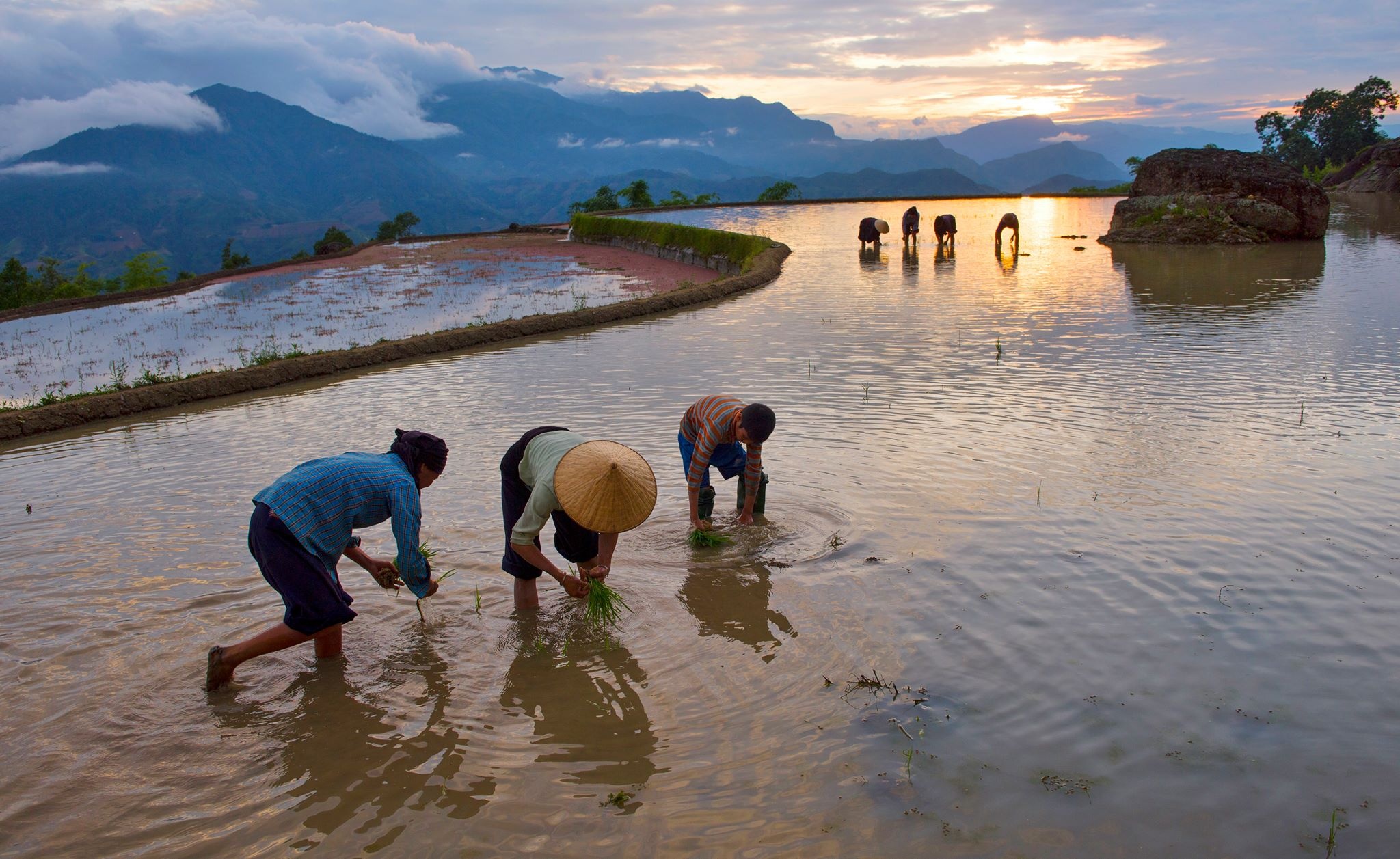 Ruộng bậc thang Hoàng Su Phì ảnh 9 Ruong bac thang Hoang Su Phi anh 9