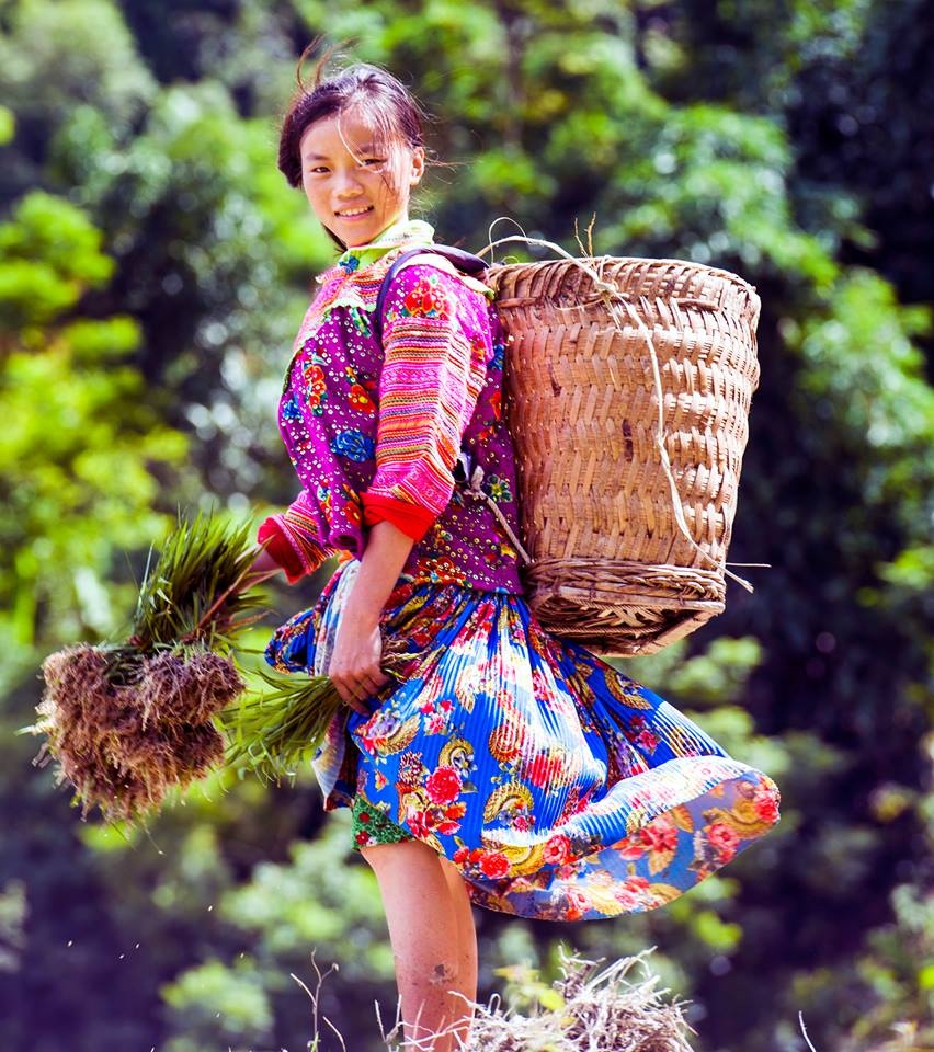 Ruộng bậc thang Hoàng Su Phì ảnh 11 Ruong bac thang Hoang Su Phi anh 11