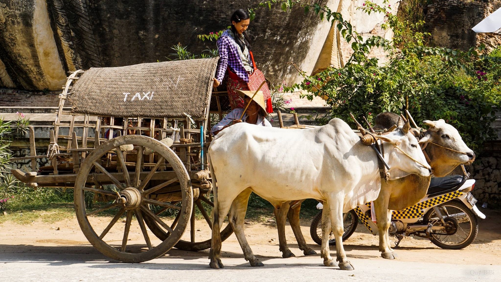 Du lich Myanmar anh 9