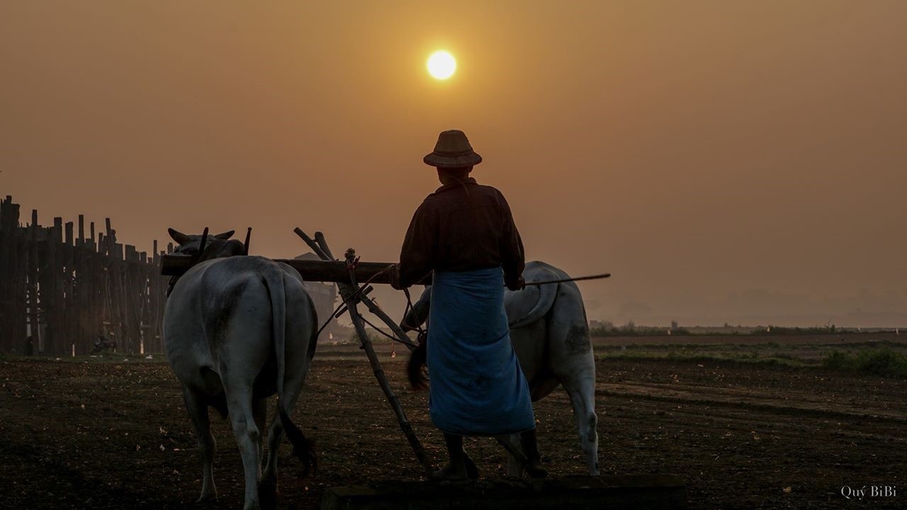Du lich Myanmar anh 14