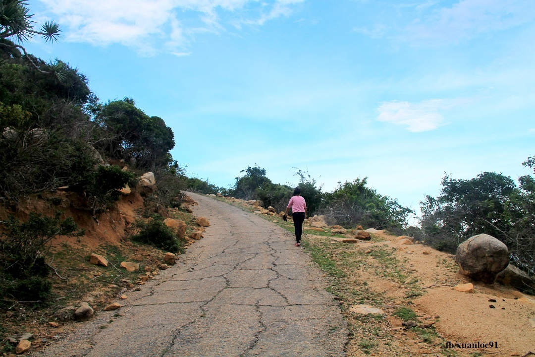 Du lich Ninh Thuan anh 10