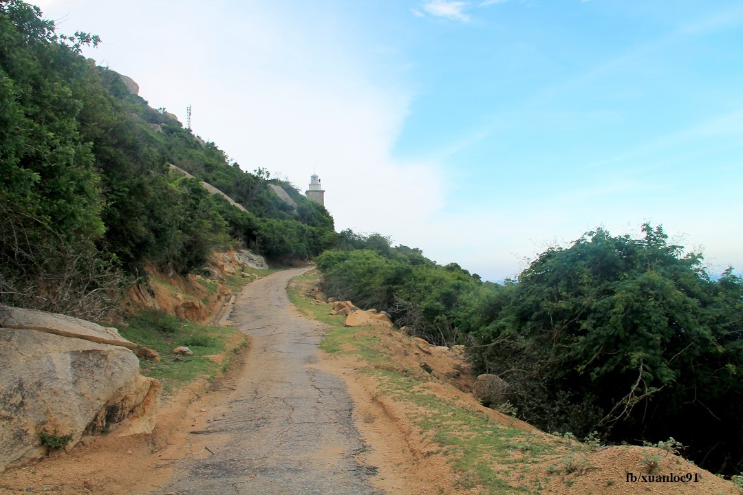 Du lich Ninh Thuan anh 13