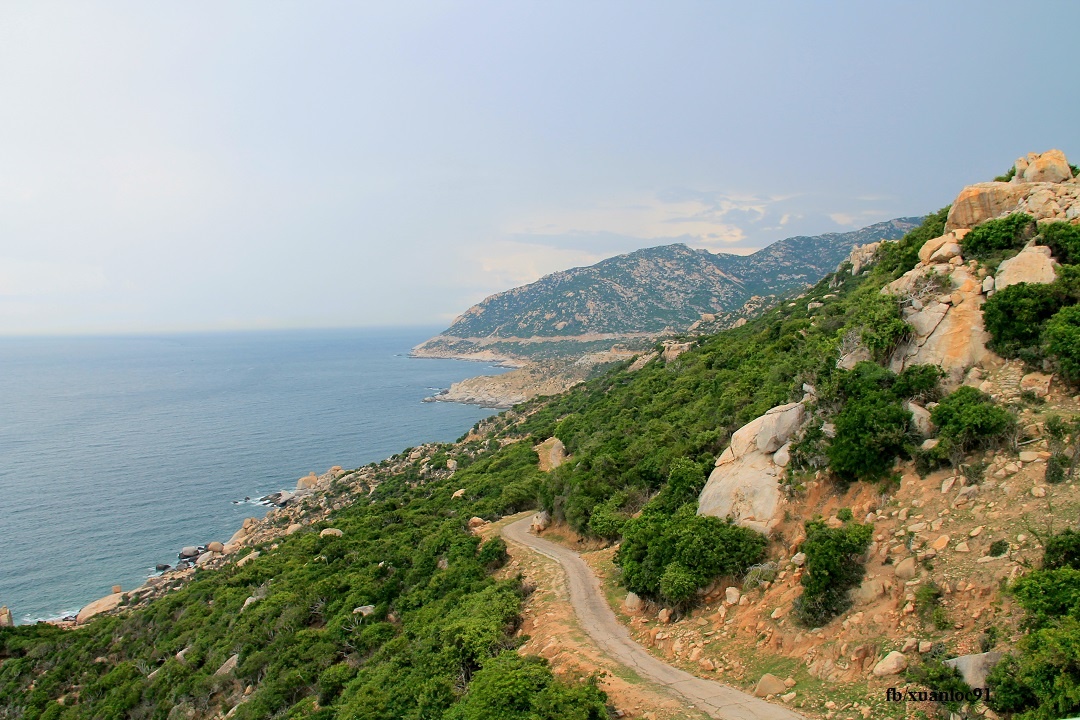 Du lich Ninh Thuan anh 14