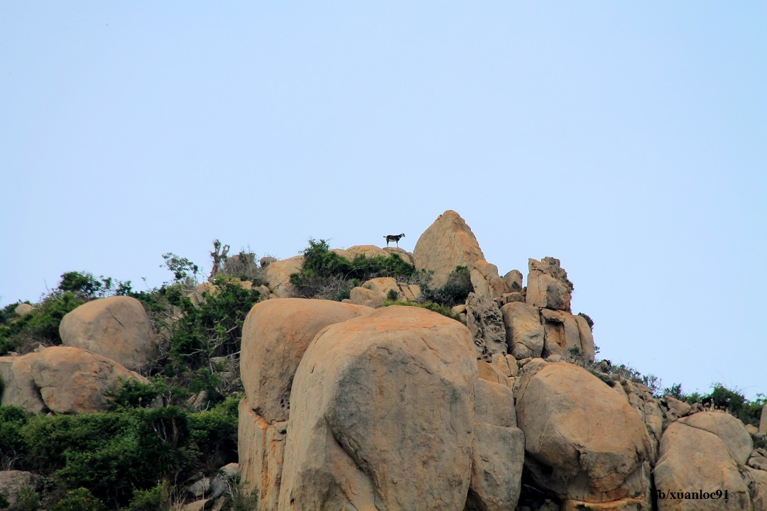 Du lich Ninh Thuan anh 7