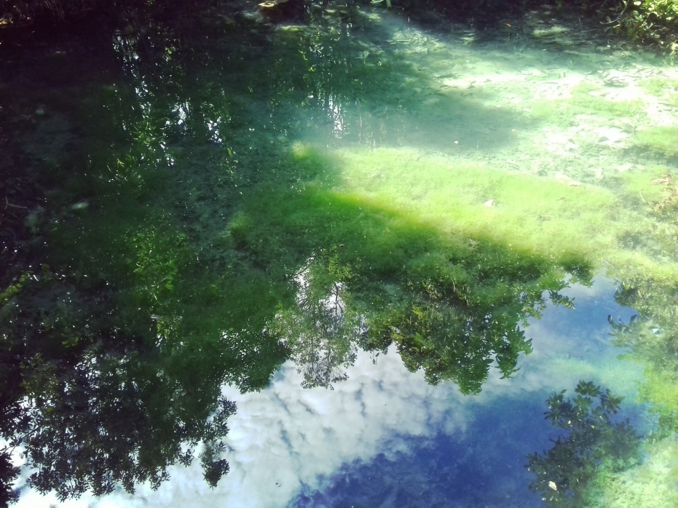 Du lich Krabi Thai Lan anh 5