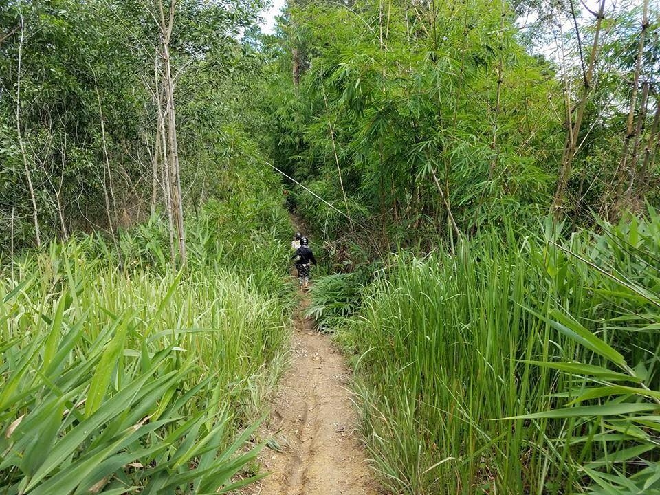 Phuot Duc Trong anh 5