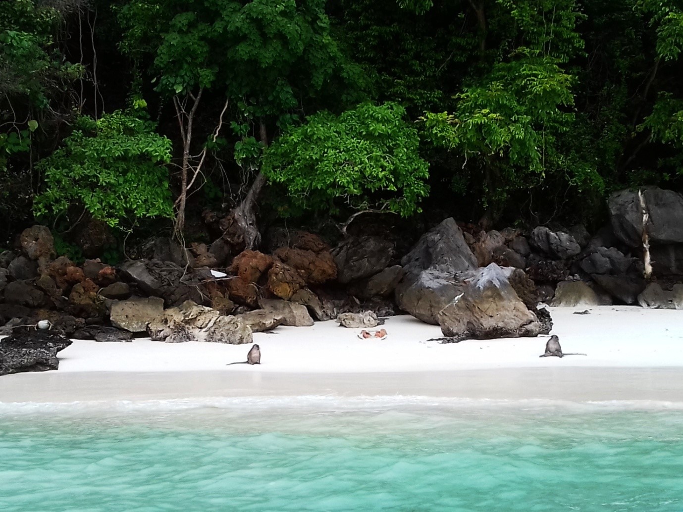 Du lich Krabi Thai Lan anh 7