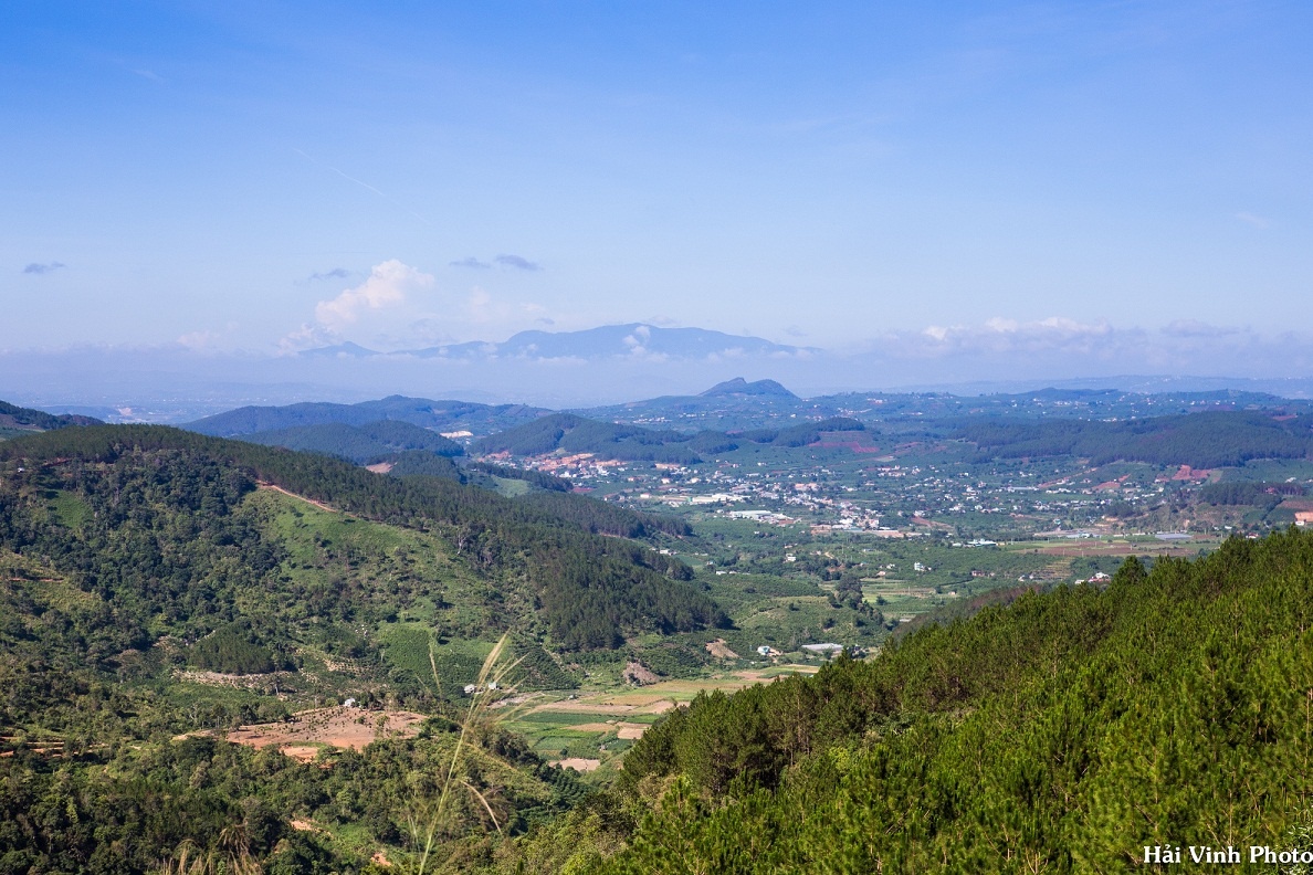 Cafe Đà Lạt ảnh 2 Cafe Da Lat anh 2