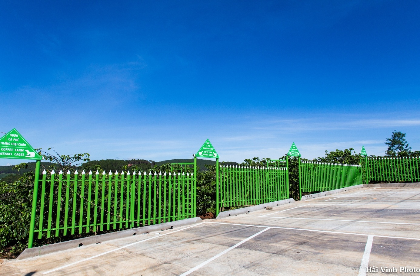 Cafe Đà Lạt ảnh 5 Cafe Da Lat anh 5
