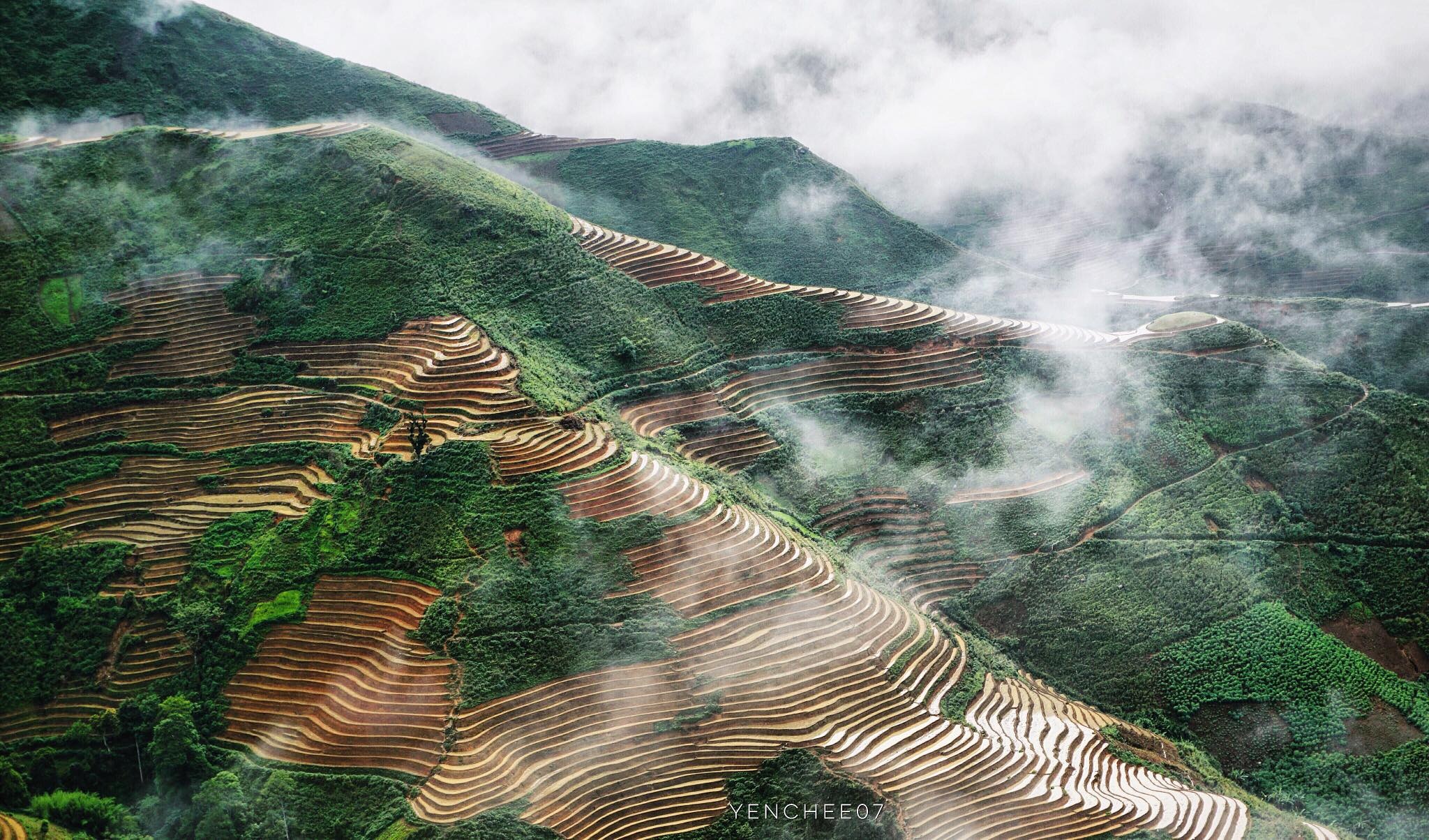 Thiên đường mây Tà Xùa ảnh 12 Thien duong may Ta Xua anh 12