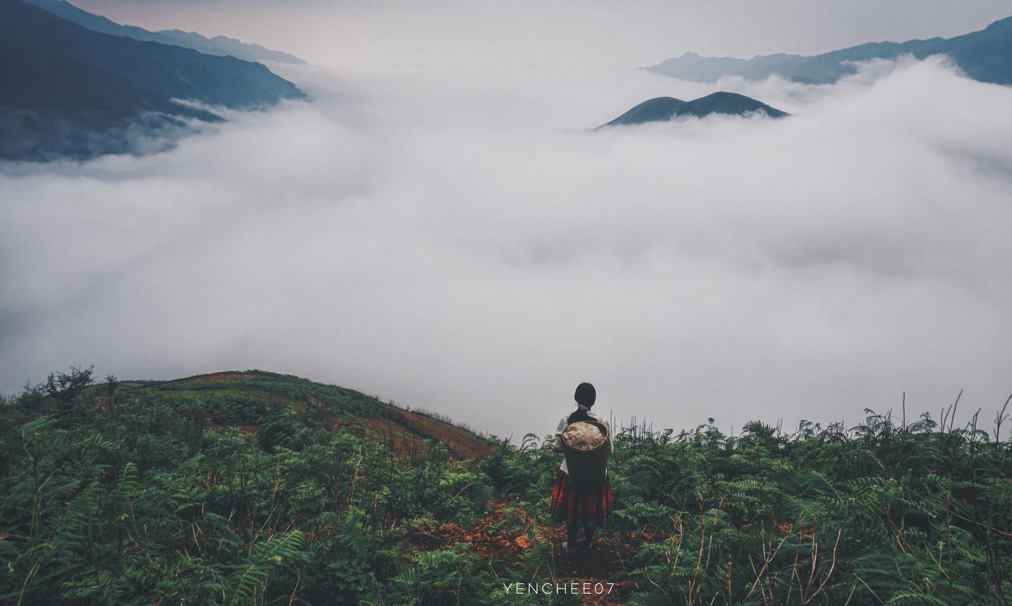 Thiên đường mây Tà Xùa ảnh 10 Thien duong may Ta Xua anh 10