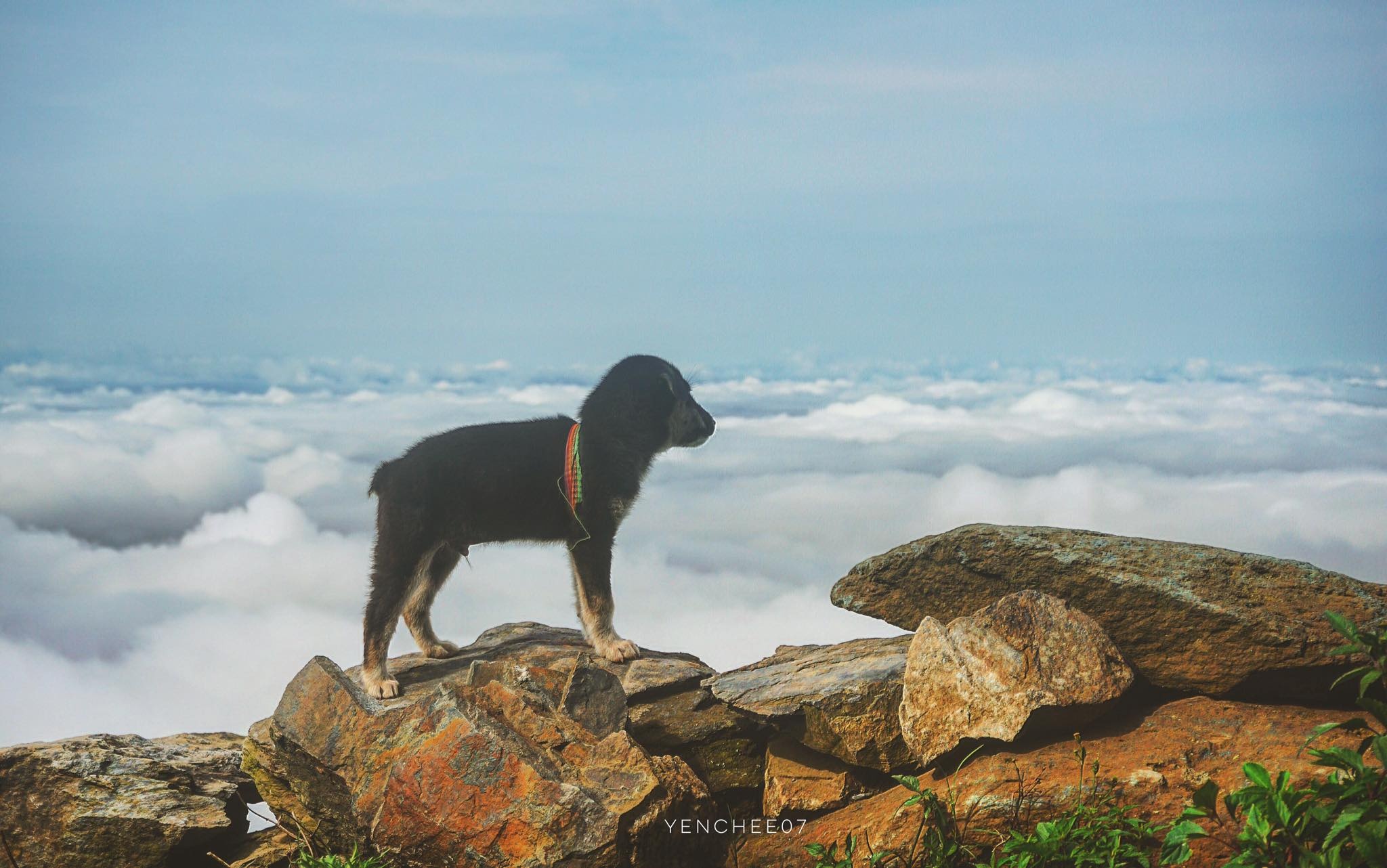 Thiên đường mây Tà Xùa ảnh 17 Thien duong may Ta Xua anh 17