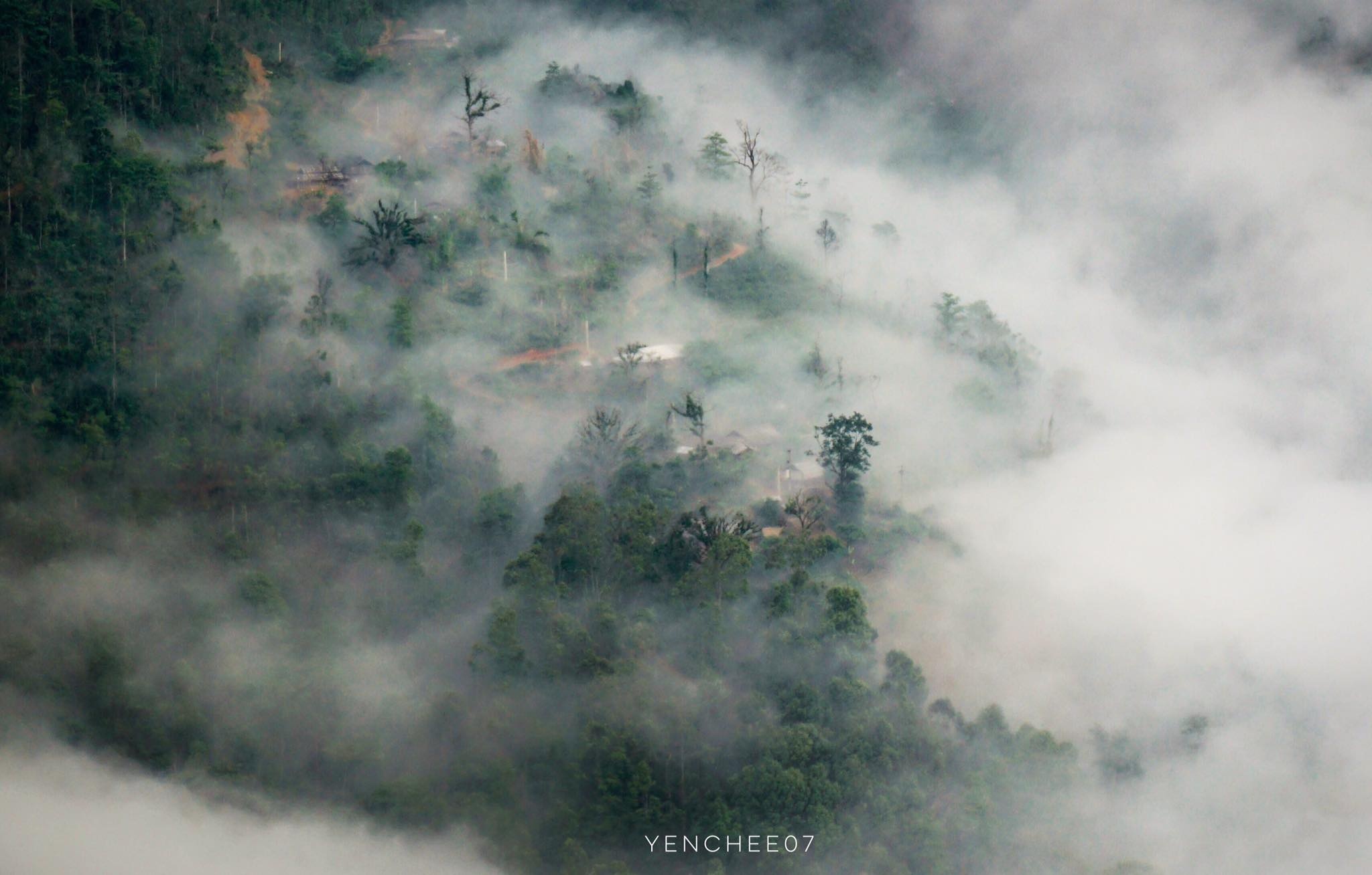 Thiên đường mây Tà Xùa ảnh 16 Thien duong may Ta Xua anh 16