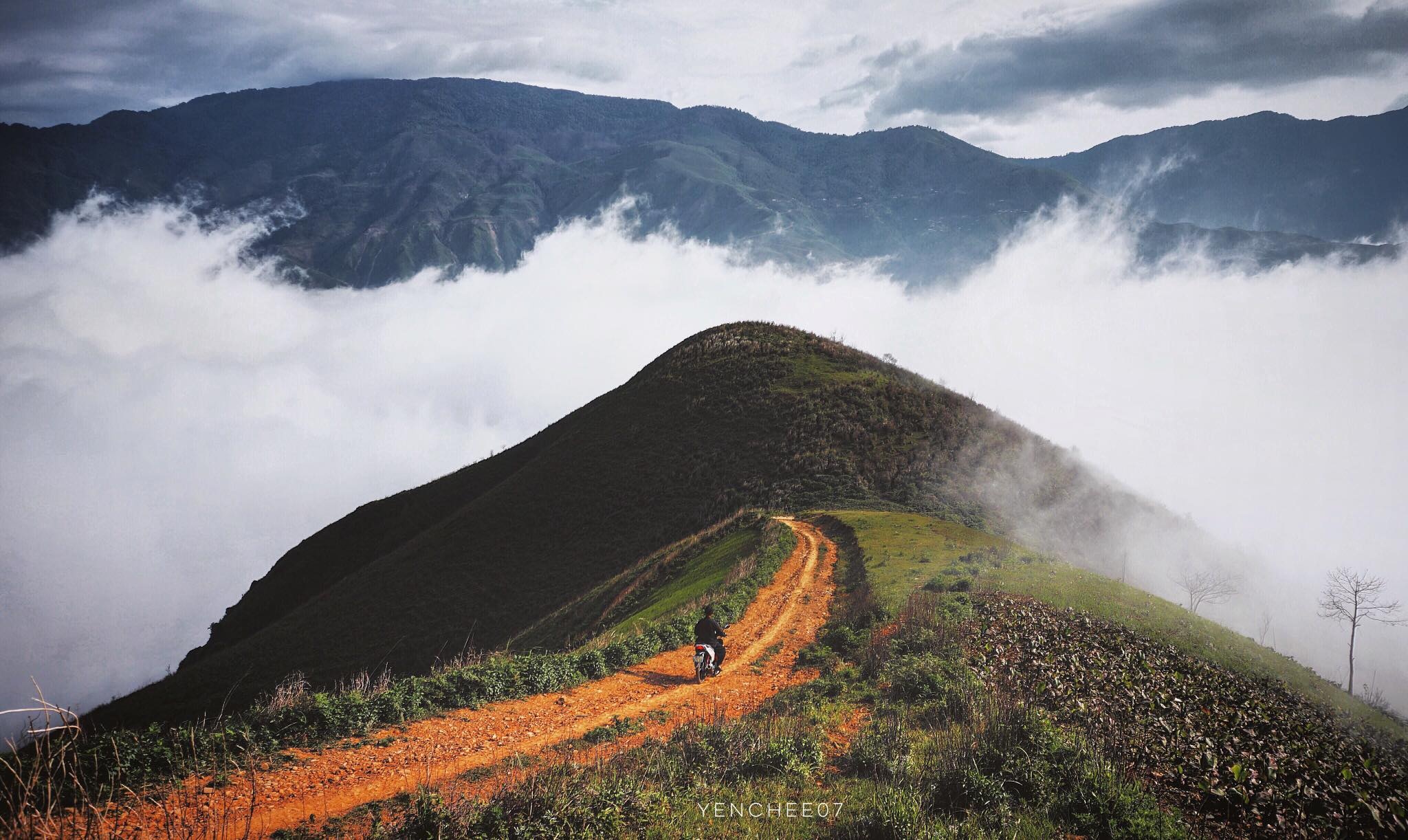 Thiên đường mây Tà Xùa ảnh 8 Thien duong may Ta Xua anh 8