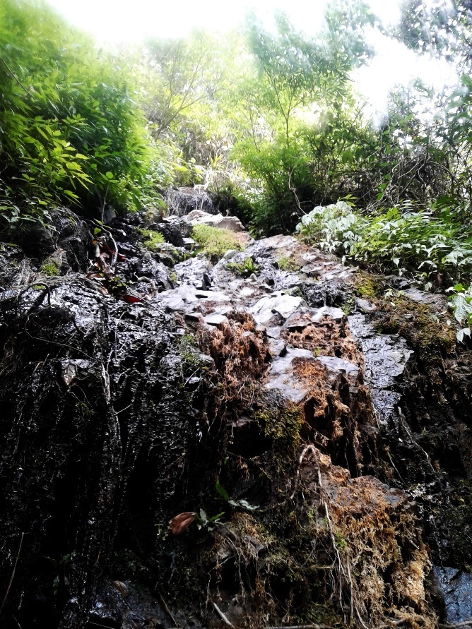 hồ chứa nước đạ tẻh ảnh 8 ho chua nuoc da teh anh 8