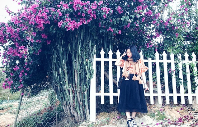 An - choi Da Lat mua chom thu hinh anh