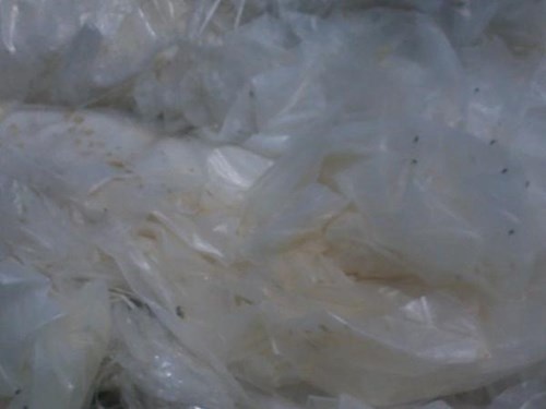 Hiểm hoạ từ túi nilong ảnh 3 Hiem hoa tu tui nilong anh 3