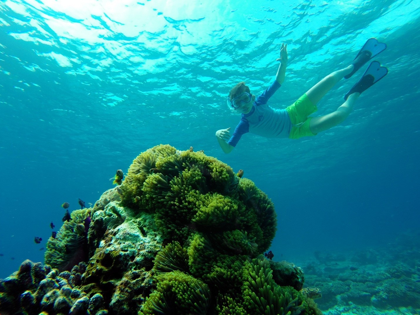Kham pha Maldives khi khong rung rinh tien bac hinh anh