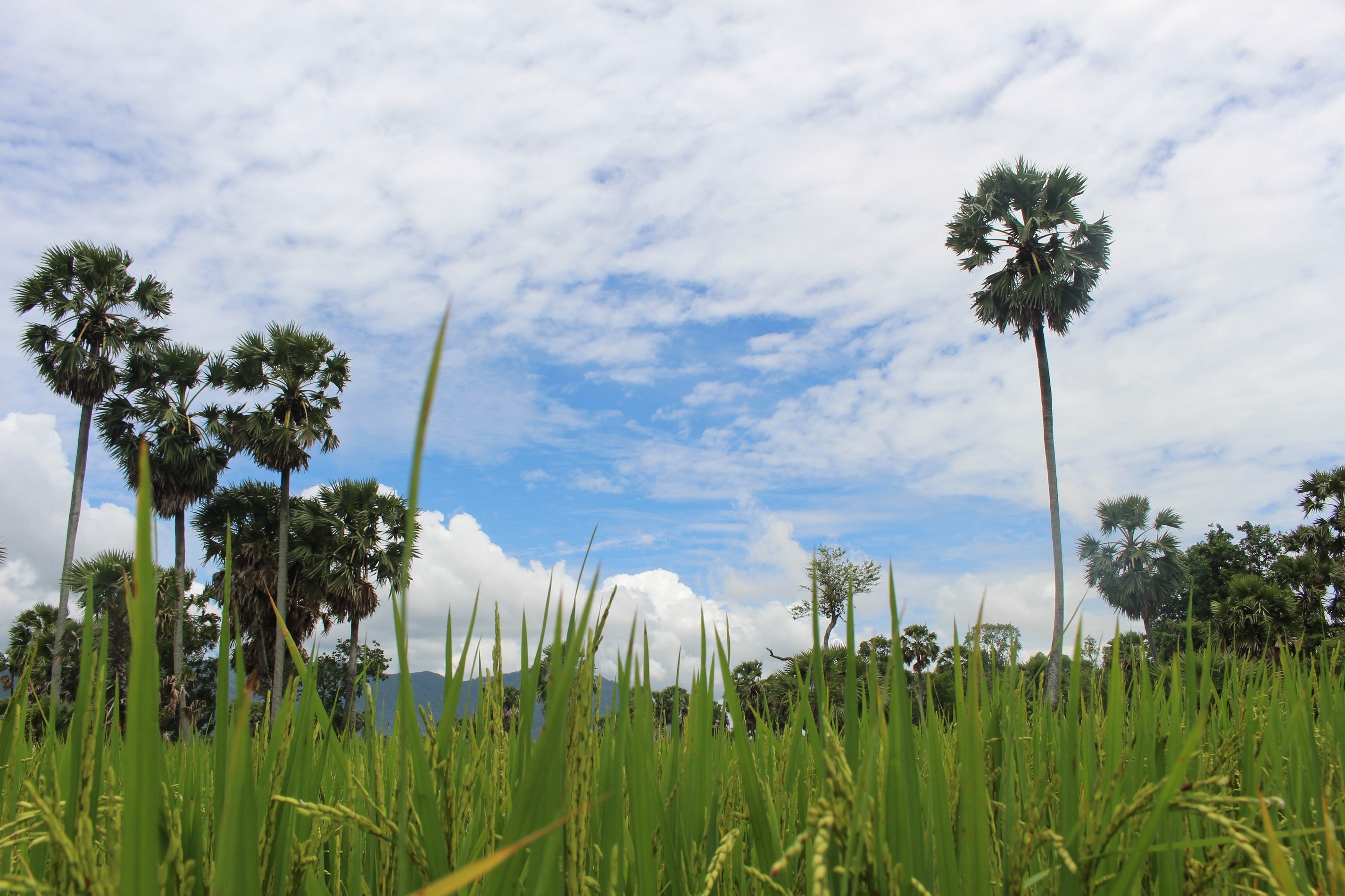 That Son An Giang anh 15