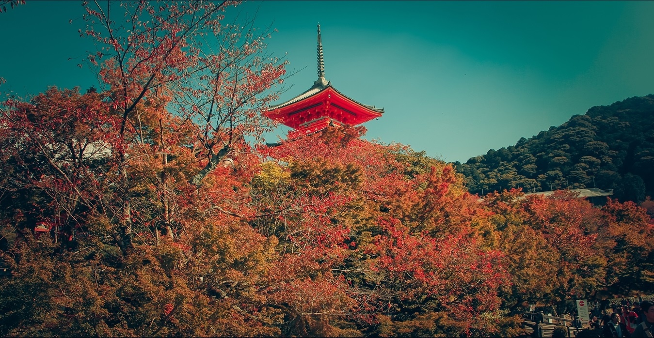 Du lich mua thu Nhat Ban anh 8