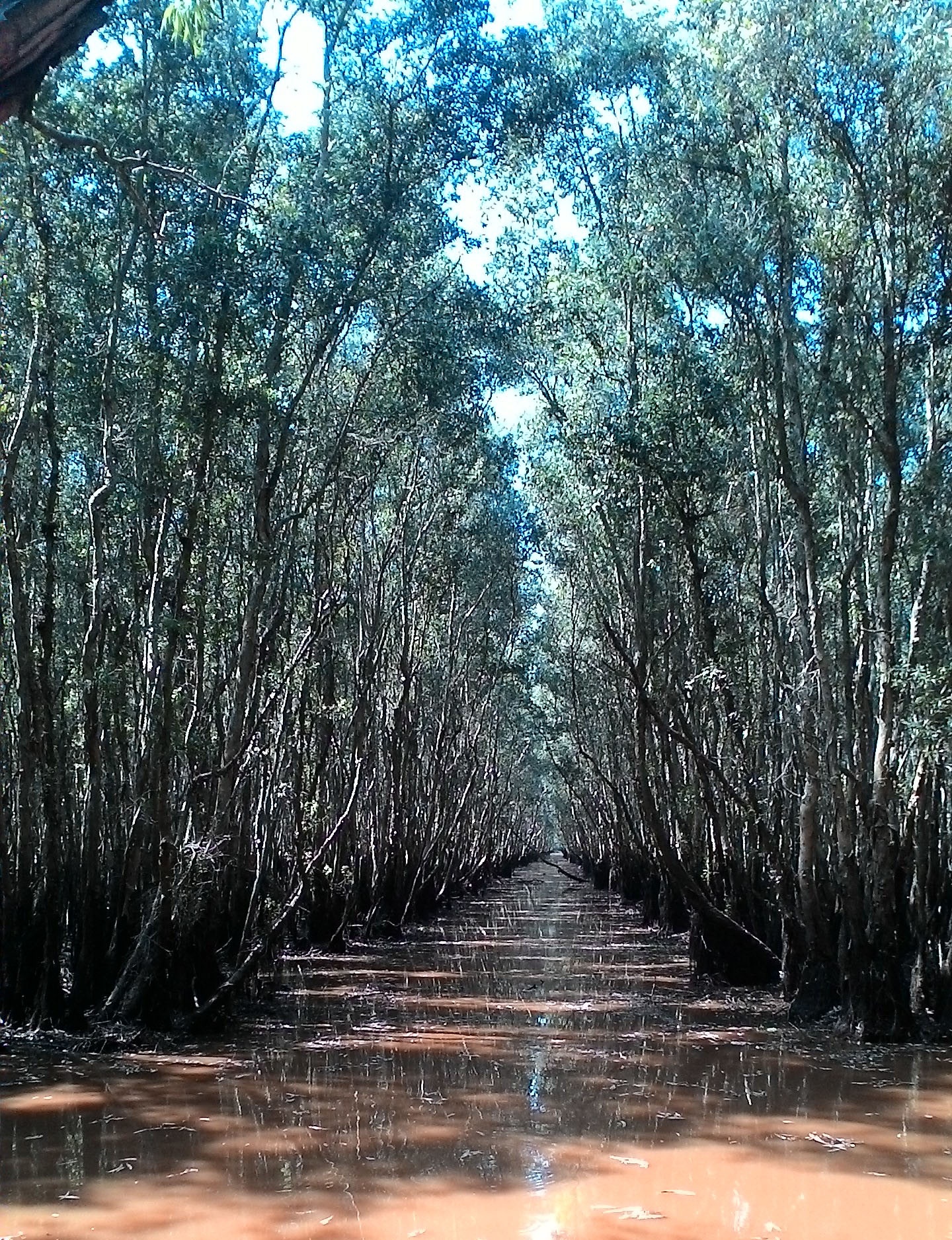 Kinh nghiệm du lịch An Giang ảnh 4 Kinh nghiem du lich An Giang anh 4