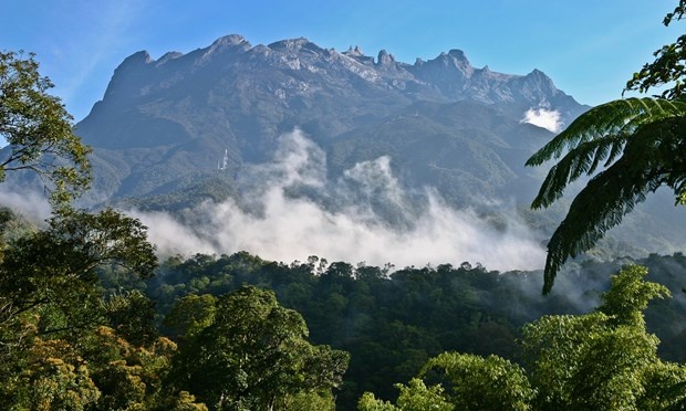 7 trải nghiệm tại Borneo ảnh 2 7 trai nghiem tai Borneo anh 2