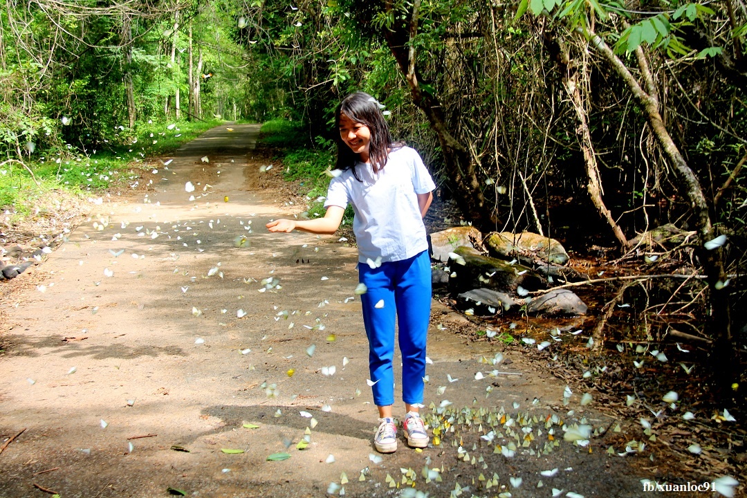 Kham pha vuon Quoc gia Nam Cat Tien anh 3