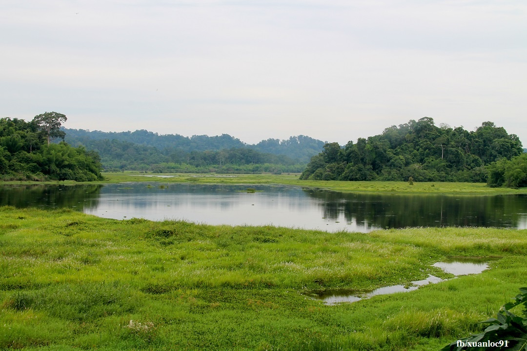 Kham pha vuon Quoc gia Nam Cat Tien anh 4