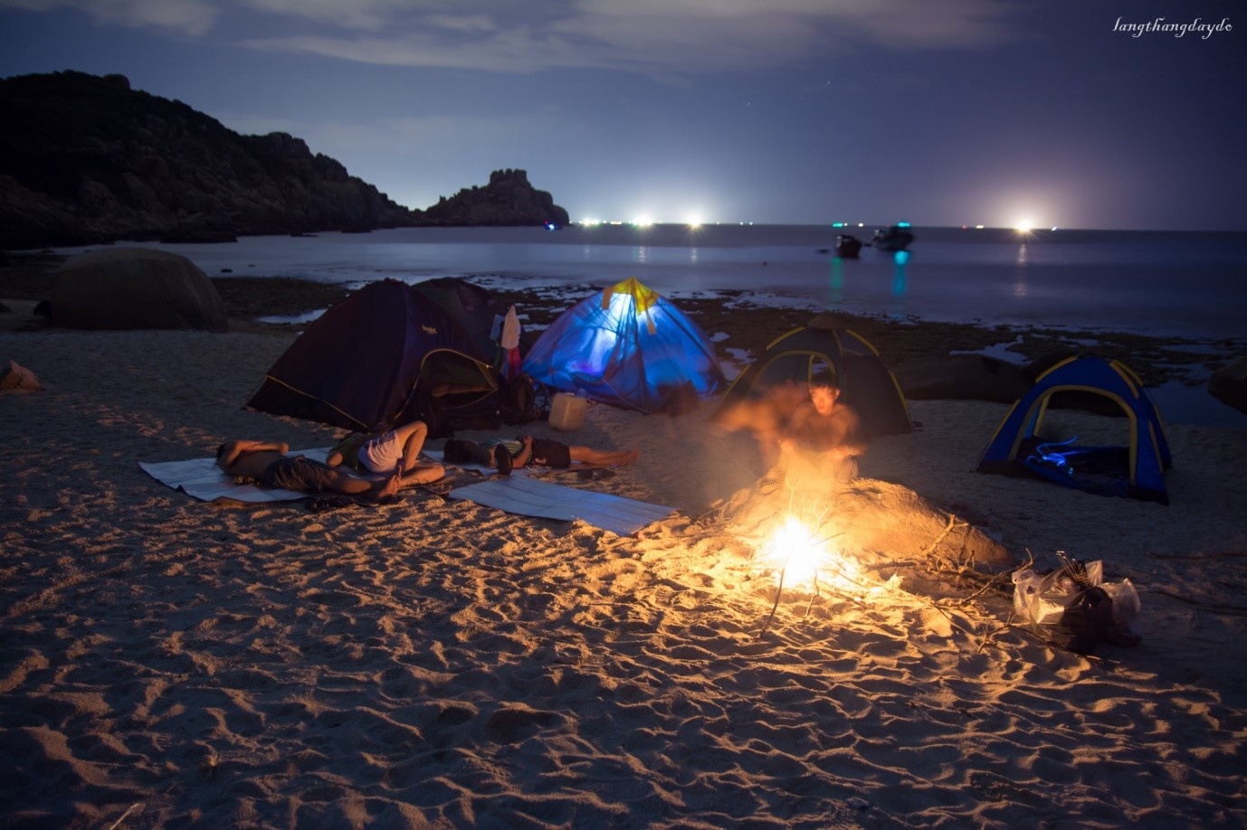 Hoa vàng cỏ xanh Phú Yên ảnh 11 Hoa vang co xanh Phu Yen anh 11