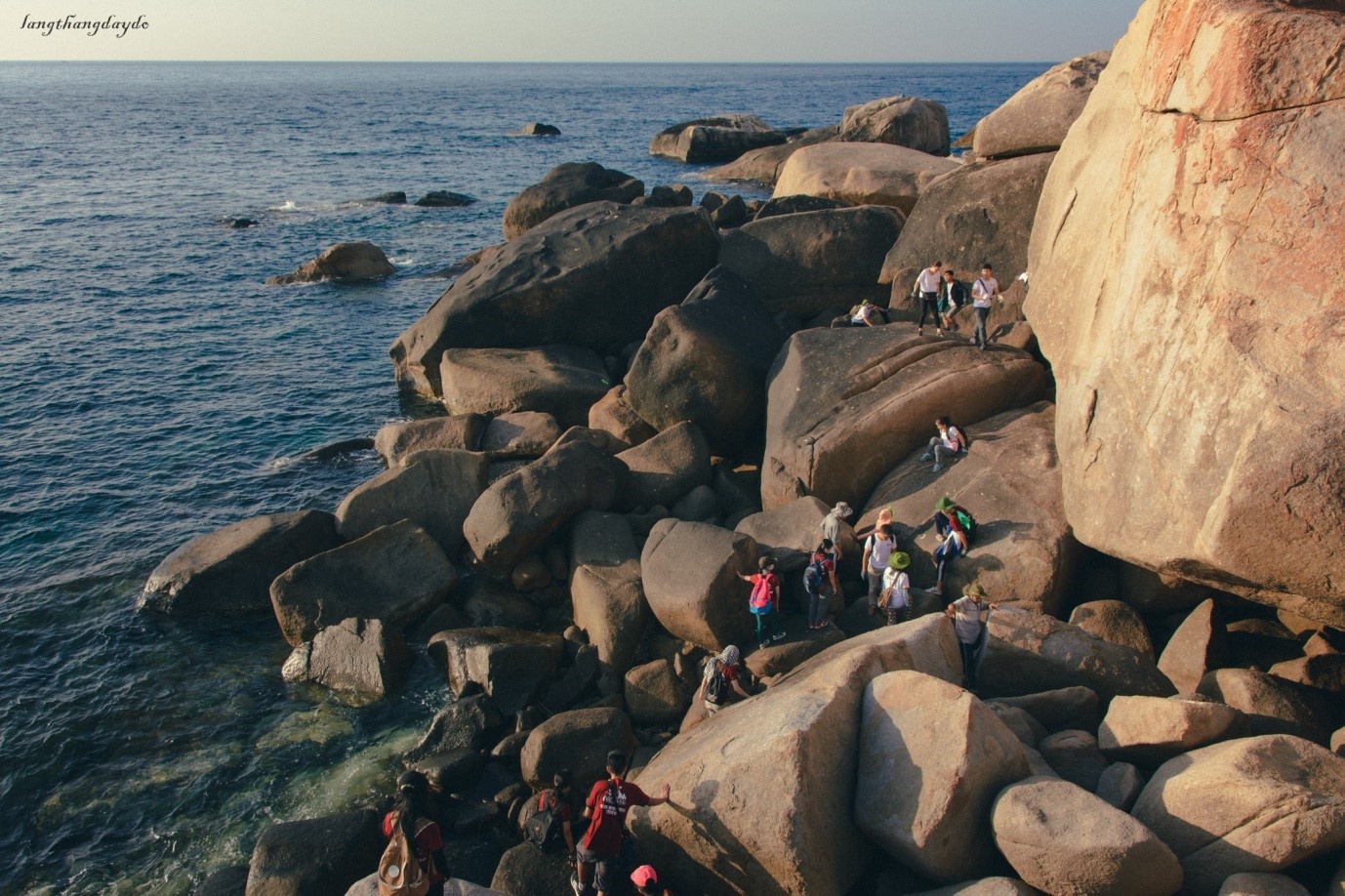 Hoa vàng cỏ xanh Phú Yên ảnh 13 Hoa vang co xanh Phu Yen anh 13