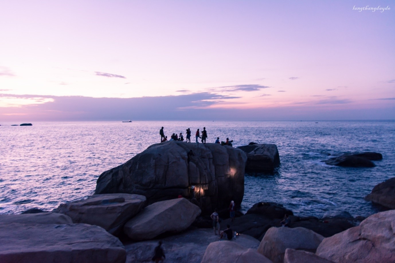 Hoa vàng cỏ xanh Phú Yên ảnh 14 Hoa vang co xanh Phu Yen anh 14