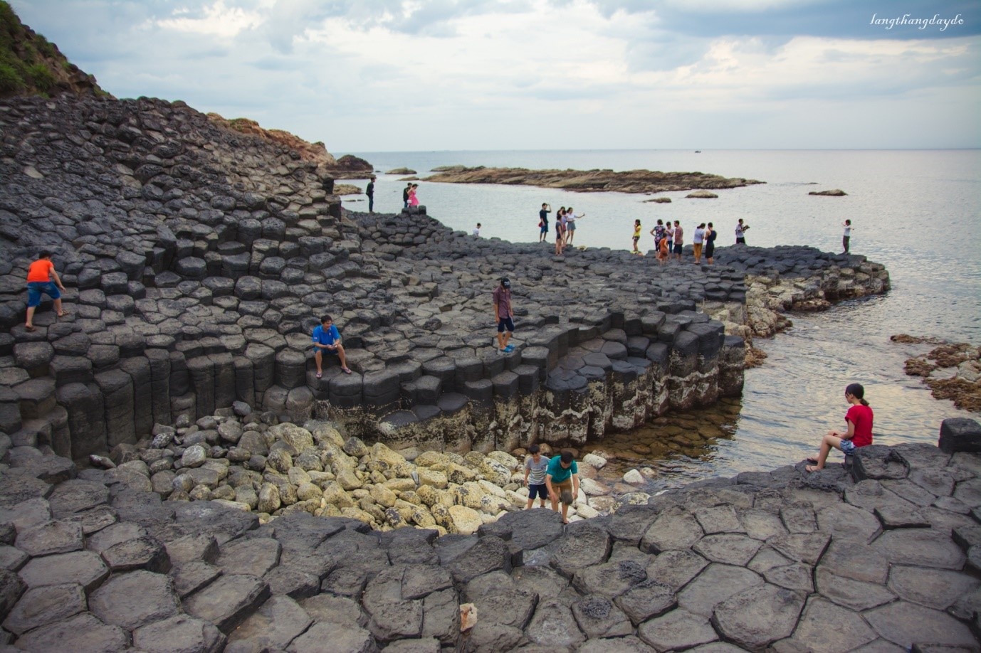 Hoa vàng cỏ xanh Phú Yên ảnh 17 Hoa vang co xanh Phu Yen anh 17