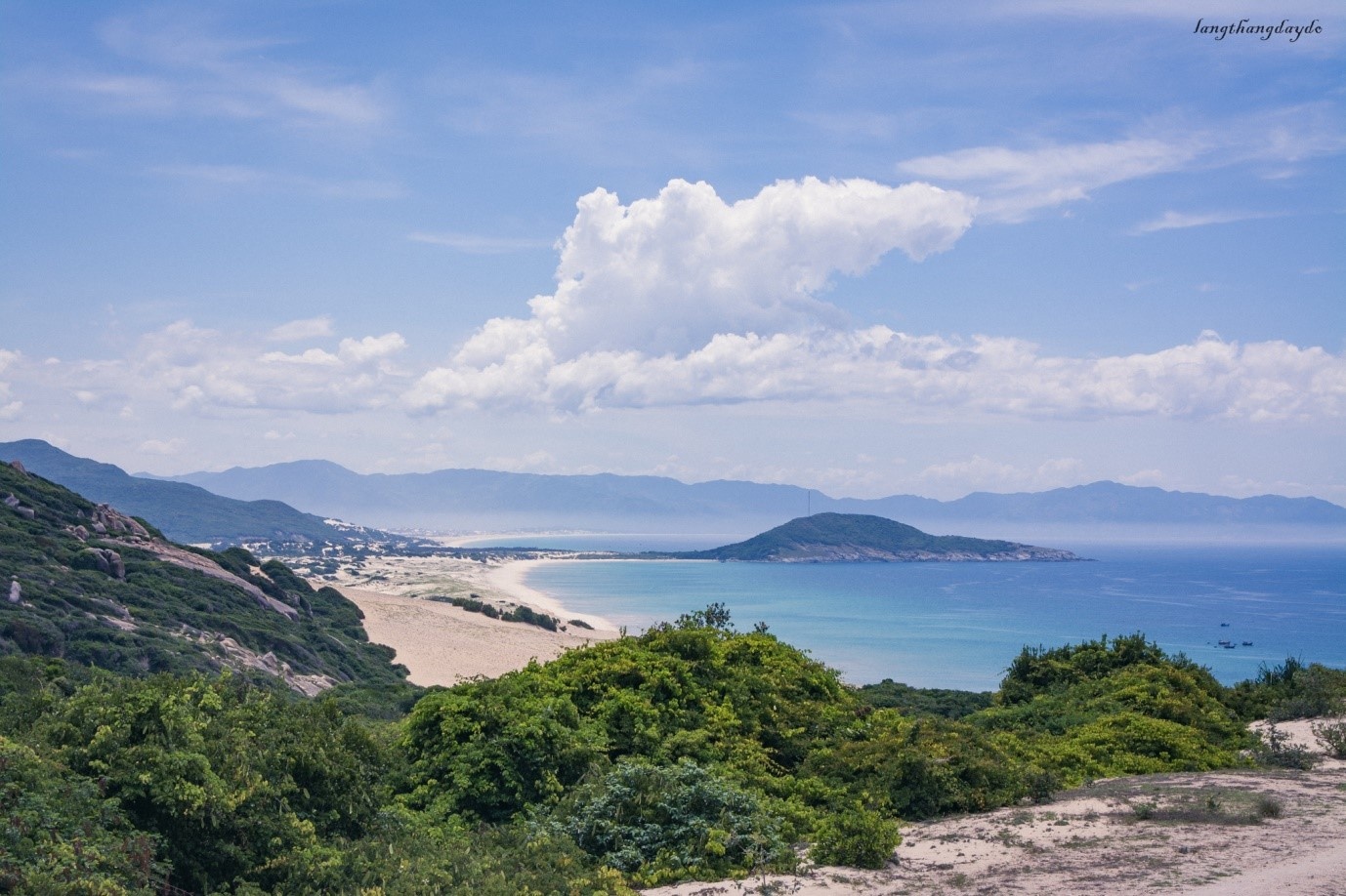 Hoa vàng cỏ xanh Phú Yên ảnh 1 Hoa vang co xanh Phu Yen anh 1