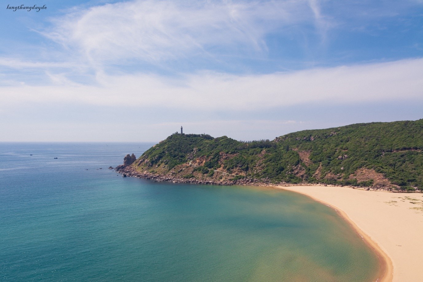 Hoa vàng cỏ xanh Phú Yên ảnh 2 Hoa vang co xanh Phu Yen anh 2