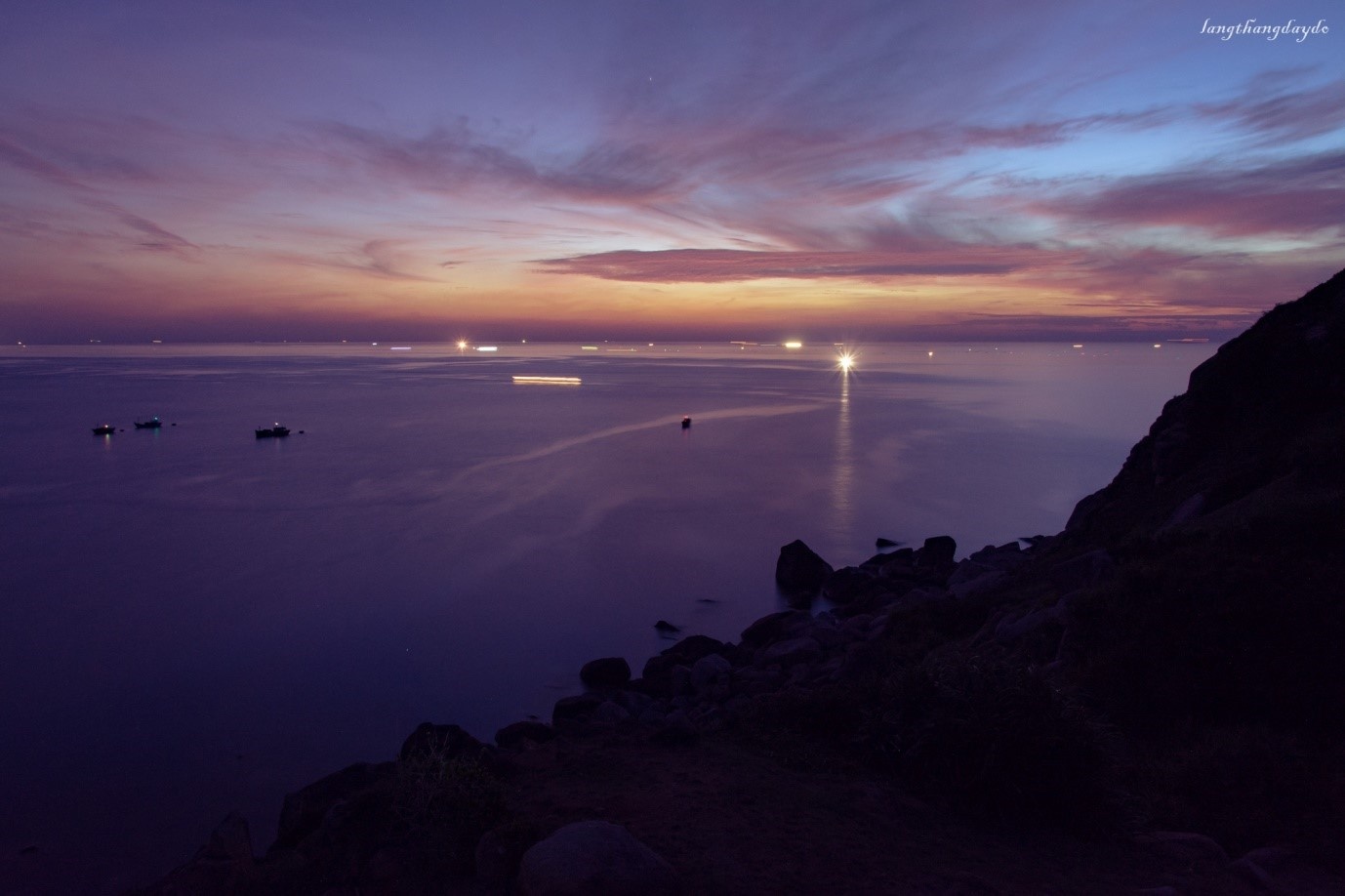 Hoa vàng cỏ xanh Phú Yên ảnh 4 Hoa vang co xanh Phu Yen anh 4