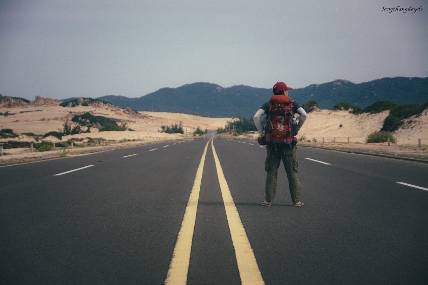 Hoa vàng cỏ xanh Phú Yên ảnh 7 Hoa vang co xanh Phu Yen anh 7