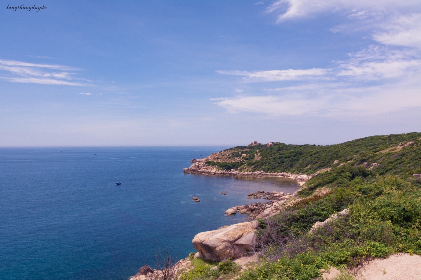 Hoa vàng cỏ xanh Phú Yên ảnh 9 Hoa vang co xanh Phu Yen anh 9